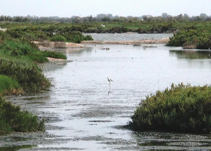 Attico Sul Mare Lido degli Estensi