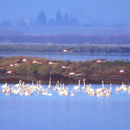 Attico Sul Mare 아파트 *