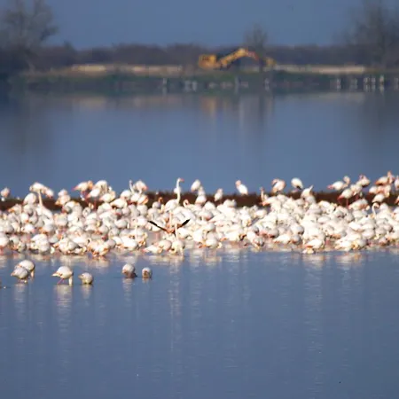 아파트 Attico Sul Mare 리도 델리 에스텐시