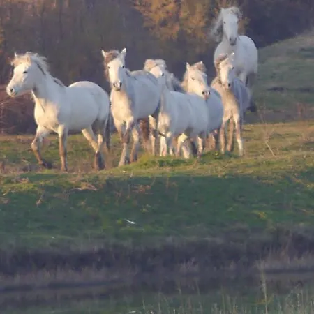 아파트 Attico Sul Mare
