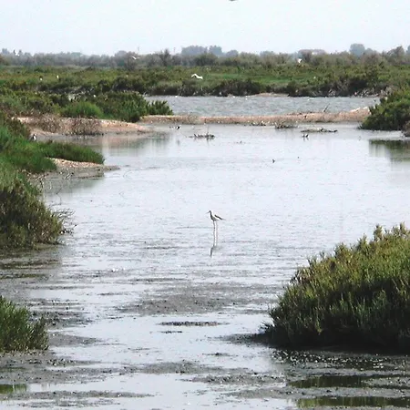Attico Sul Mare Llido Degli Estensi