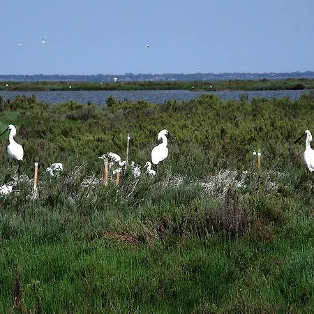 Attico Sul Mare 아파트