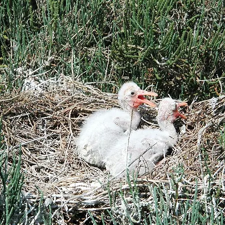 Appartement Attico Sul Mare *