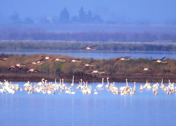 Attico Sul Mare Apartament *