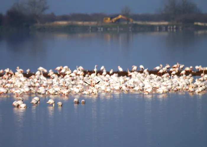 Appartement Attico Sul Mare Llido Degli Estensi