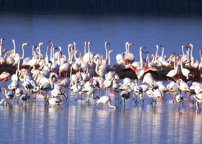 Attico Sul Mare * Llido Degli Estensi