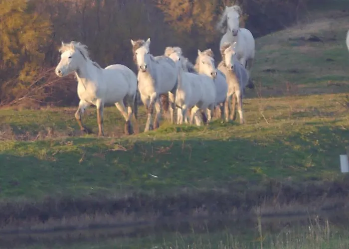 Appartement Attico Sul Mare