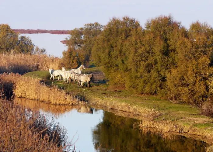 Attico Sul Mare Appartement Llido Degli Estensi