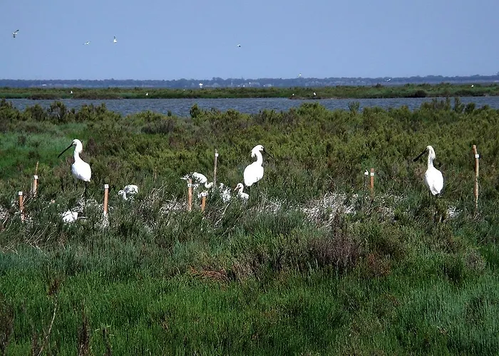 Attico Sul Mare Appartement